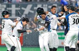<p>　９回、サヨナラの押し出し四球を選び、ナインの祝福を受ける日本ハムの代打松本剛（中央）＝札幌ドーム</p>