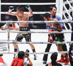 <p>　１１回、ウィルフレド・メンデス（右手前）にＴＫＯ勝ちし、ガッツポーズで喜ぶ谷口将隆＝両国国技館</p>
