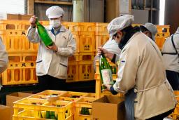 　日本酒「立春朝搾り」を箱に詰める「天寿酒造」の従業員ら＝４日午前、秋田県由利本荘市