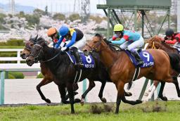 　第６６回大阪杯を制したポタジェ（左手前）。左奥は２着のレイパパレ、右は３着のアリーヴォ＝阪神競馬場