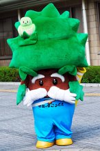 酒と祭り愛す「木の精」　なんじゃもん（神崎町）　【ちば　ゆるキャラコレクション】