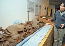 幻の伊八　屋根裏から「波に兎」　変遷伝える貴重な彫刻　君津・宝性寺　【地方発ワイド】