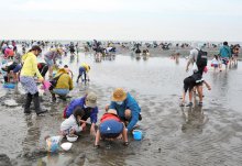 潮干狩り客「屋外なら安心」　コロナ対策取り２年ぶり再開、人数制限も　ふなばし三番瀬海浜公園