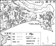 銚子の「灯台印キャベツ」　ちばエコ農産物に指定　【千葉地理学会連載　おもしろ半島ちばの地理再発見】