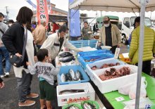 ７カ月ぶり「港の朝市」　２５００人来場、にぎわい戻る　いすみ