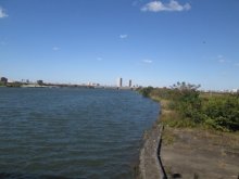 千葉県の県境未確定地域　市川、江戸川区間に存在　【千葉地理学会連載　おもしろ半島　ちばの地理再発見】