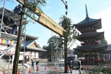 大しめ縄飾り付け　大本堂前で参拝客出迎え　成田山新勝寺