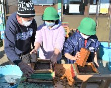 【子ども新聞　週刊ちばにち家】　児童がノリすき挑戦　船橋、漁師ら先生に　（２０２２年１月２７日号）