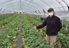 早春の千葉県内観光打撃　客足半減「早く収束して」　飲食業も売り上げ低迷　まん延防止延長決定