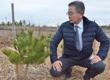 白砂青松　再生に暗雲　植樹活動阻むコロナ風化も懸念　山武、津波で海岸林被害　【語り継ぐ　ちば　東日本大震災１１年】（４）
