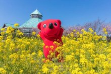 「千葉とく旅」期間延長　日帰り、直接予約可能に　連休後５月９～３１日