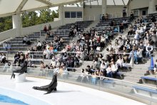 修学旅行出発前日に「中止」　教頭「行かせてあげたかった」　卒業目前、開催模索も感染者　【ちば特　千葉日報特報部】 