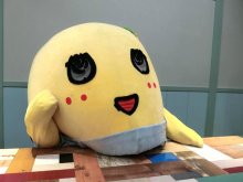 南極の海、沈められたけど「良かった」　キャラクターとしての本分、貫き通す【ノーカット版　ふなっしー“降臨”１０年インタビュー】（中）