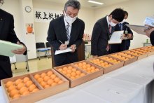 「房州びわ」３年ぶり皇室献上　大粒の最高級品ずらり　南房総で選果式