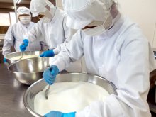 牛乳の風味生かした新アイス開発　米ペーストで溶けにくく　千葉市花見川区の福祉事業所　農福商連携で安定就労へ