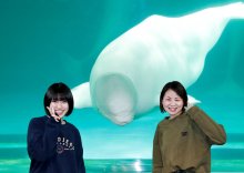 秋の夜長に水族館探検いかが　閉館後の鴨川シーワールド満喫　裏側見学など特別プログラム
