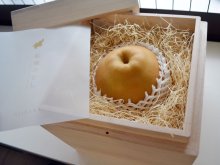 船橋産巨大梨、桐箱入りで１万円　農家や工房、スーパーなど連携し商品化　「高級ギフトに」価値底上げ