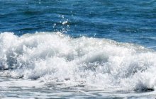 一宮の海岸に女性遺体　消波ブロックの上にあおむけ　身元不明、４０代～５０代ぐらい