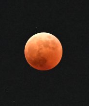 ４４２年ぶり夜空の共演　皆既月食と天王星食　千葉県内でも観測