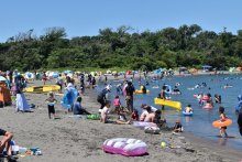 安房４市町　３年ぶり海水浴場開設　客足回復、運営に課題も　【回顧２０２２年　取材メモから】