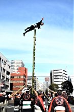 【子ども新聞　週刊ちばにち家】　新春祝うはしご乗り　高さ６メートル妙技繰り出す　船橋　（２０２３年１月１２日号）