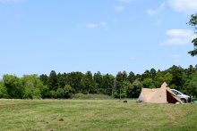 牛と人、交差する別世界　酪農の将来考える機会にも　千葉ウシノヒロバ　【ふさの国探宝】