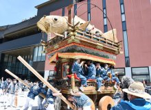 こどもの日に「鯉」集結　飾り物の山車、こいのぼり２０匹　香取