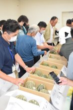 甘～い銚子メロン旬到来！　出荷規格チェック