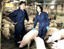 病気に振り回されない養豚　農事組合法人清和畜産（旭市）　【輝く！千葉の企業　日本政策金融公庫レポート】（１０１）