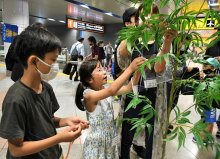 病気と闘う子どもに「貸切特急」プレゼント　京成電鉄、成田空港への旅に招待