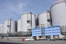 海洋放出　地元理解なお課題　福島第１原発　処理水タンク満杯近く　「経営優先」納得できず＝千葉訴訟・共同代表　情報不足「伝達基盤を」＝銚子・水産流通業者