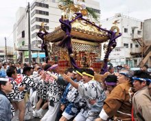 １・５トン、関東一の大神輿　「コロナ禍でたまった気持ちぶつけ」たけだけしく担ぐ　八剱八幡神社例祭　木更津