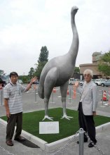 「鳥の街」我孫子に３・６メートルの巨鳥が出現　乱獲で絶滅、実物大ジャイアントモア像　環境保全のメッセージ込め　市鳥の博物館前