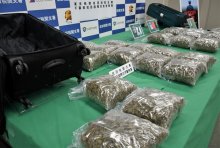乾燥大麻２４キロ摘発　成田空港、過去１０年で最大