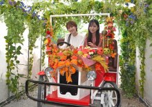 京成バラ園、秋の"収穫祭"スタート　６日から　１０００品種７０００株が見頃へ　「アリス」アトラクションやライトアップも