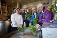 館山産菜の花使いビール　都内で仕込み式　よい仕事おこしネット