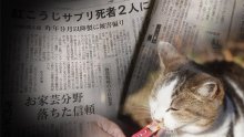 「ちゅーる」に「紅麹」表記、ＳＮＳで不安の声　製造・販売元は関連否定も