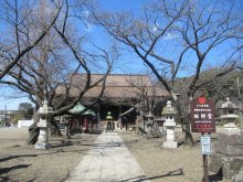 ＜国重文へ答申＞市川・中山法華経寺の古文書　歴史刻んだ８３９通が高評価　創建より寺内で保存