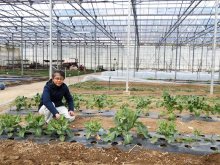独自農法で環境再生　幻のソース復刻や６次化も　アフリット（木更津市）　【ちばの元気企業】