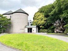 ５月死去　巨匠ステラ氏　世界観堪能して　佐倉　交流深めた川村記念美術館　国内最多収蔵　絵画の既成概念覆す