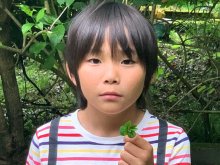 「スーパーレアだ！」八ツ葉のクローバー、小５が発見　幸せも２倍？数億分の１の確率とも　いすみ