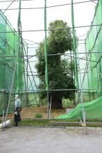 新１万円と旭　意外な縁？　渋沢栄一との交流紹介