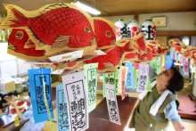 夏彩る鯛ちょうちん　茂原・八坂神社　７月祭礼で参拝者に４００個