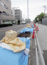 「景観１００選」のケヤキ、現場判断で伐採　市長、市民に陳謝　今後は事前の情報共有徹底　市川