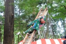 ７メートルはしごの上で妙技　横芝光　伝統の中台梯子獅子