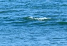 【速報】船橋の１６歳が溺れて行方不明　茨城の海水浴場で「１人が溺れ、見えなくなった」と通報