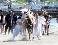 神馬が砂浜を疾走　富津・岩瀬海岸で「馬だし祭り」