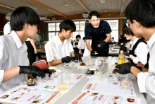 発酵文化学び機運醸成へ　１０月サミット　生徒がみそ玉作り挑戦　香取・佐原高
