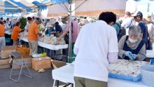 旬の味覚に長蛇の列「やちまた落花生まつり」　生産量日本一、愛好家や家族連れ満喫