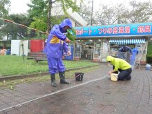 ワカサギ「数多い」　１０月釣り解禁へ成育調査　市原・高滝湖